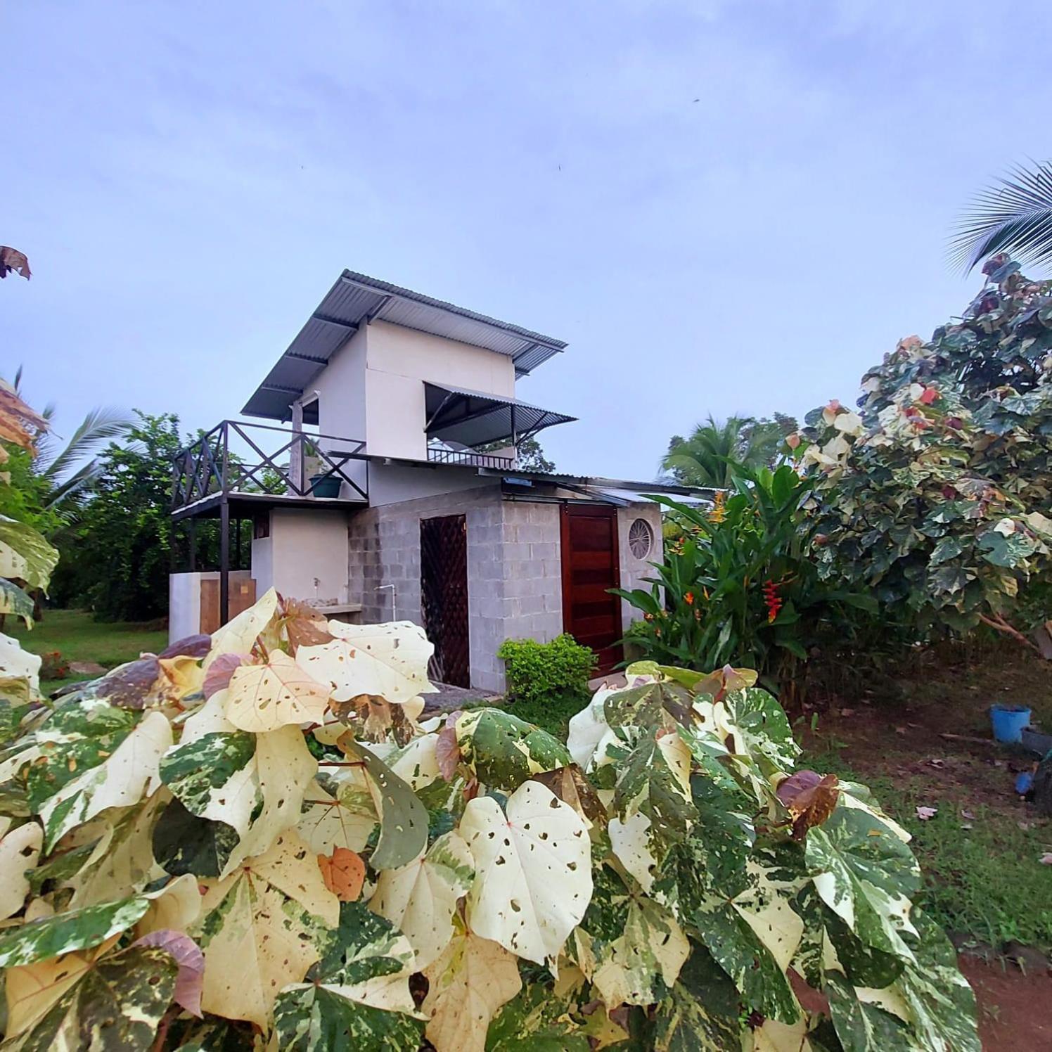 Hotel Bewak Cr Tortuguero Exterior foto